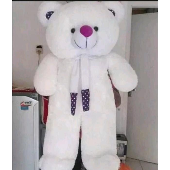 Gambar Boneka Beruang Teddy Bear Jumbo 1,6 Meter SNI. - Putih sal, Jumbo 1,3M dari Tribhuwanyst undefined Tokopedia