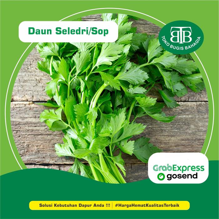 Gambar Daun Seledri/Daun Sop, Murah Makassar - ikat kecil dari Pasar Bugis Bahagia undefined Tokopedia