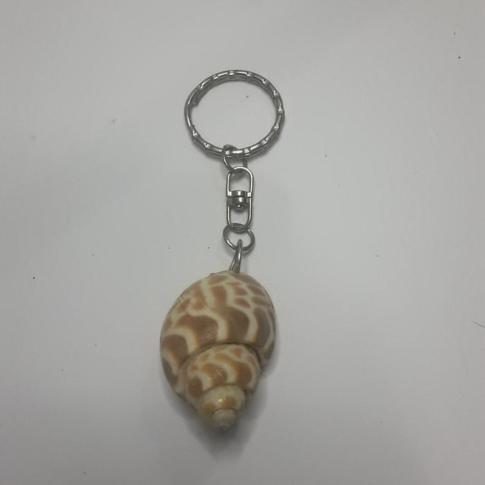 Gambar Gantungan kunci kombinasi kulit kerang laut macan #6 dari Kerang Kusuma Mandiri undefined Tokopedia
