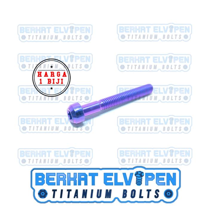 Gambar Baut Titanium Small Head M6 x 10 15 20 25 30 35 40 45 Grade 5 - Bluepurple, M6*45 dari Berkat_Elvipen undefined Tokopedia