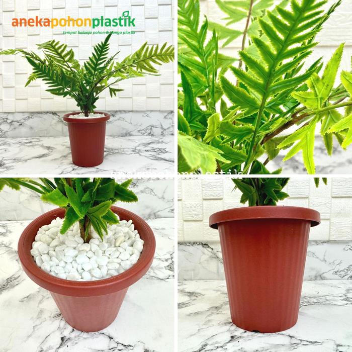 Gambar Pohon Daun Pakis Latex Mini Artificial Pot Yogaf Hitam & Cokelat Dekor - Cokelat dari Anekapohonplastik undefined Tokopedia