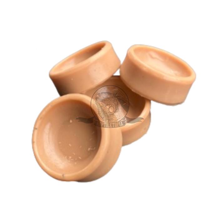 Gambar Water Dish / Feeding Tempat Makan Minum Reptile reptil gecko panana dari Reptiletopia Indonesia undefined Tokopedia