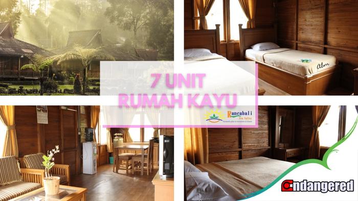 Gambar Voucher Hotel Ciwidey Bandung - Rumah Kayu dari Endangered Store undefined Tokopedia