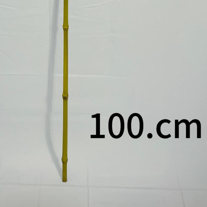 Gambar Batang Bambu Artificial 2M Bambu Partisi Bambu Hias Cendani Kuning - 1 Meter dari Berkah Bunga Artificial undefined Tokopedia