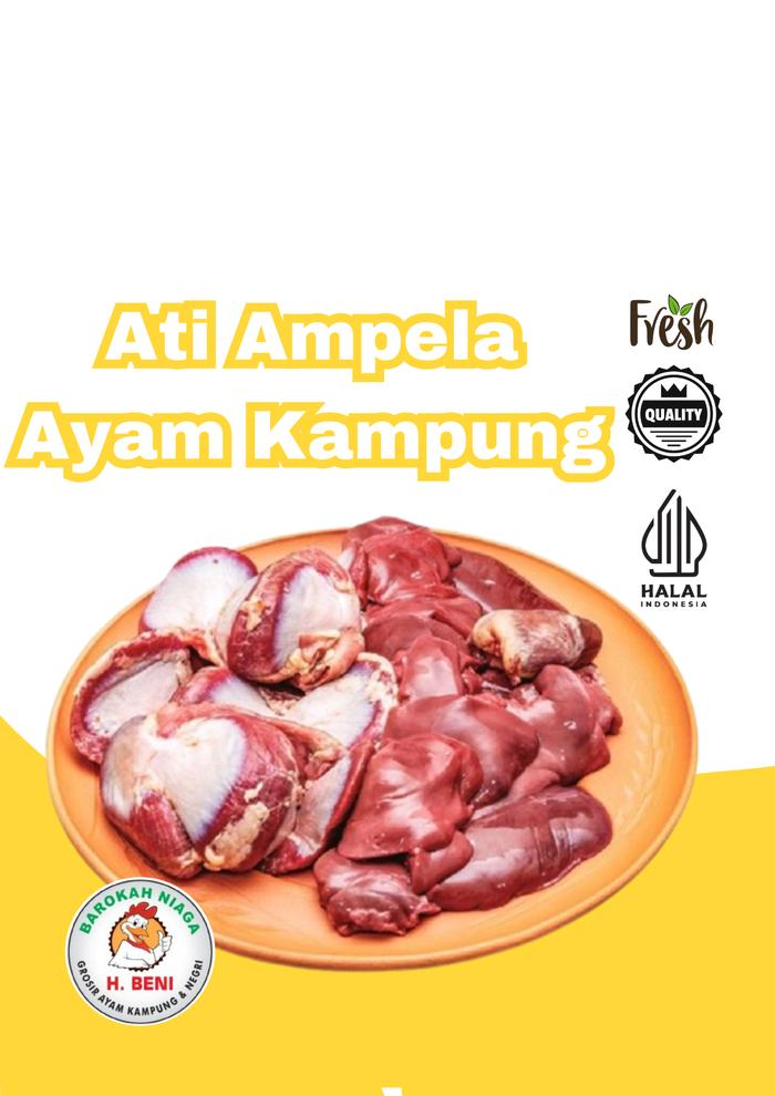 Gambar ATI AMPELA AYAM KAMPUNG ASLI FRESH CITRA RASA SEDAP (Harga perpasang) dari Toko ayam pak beni undefined Tokopedia