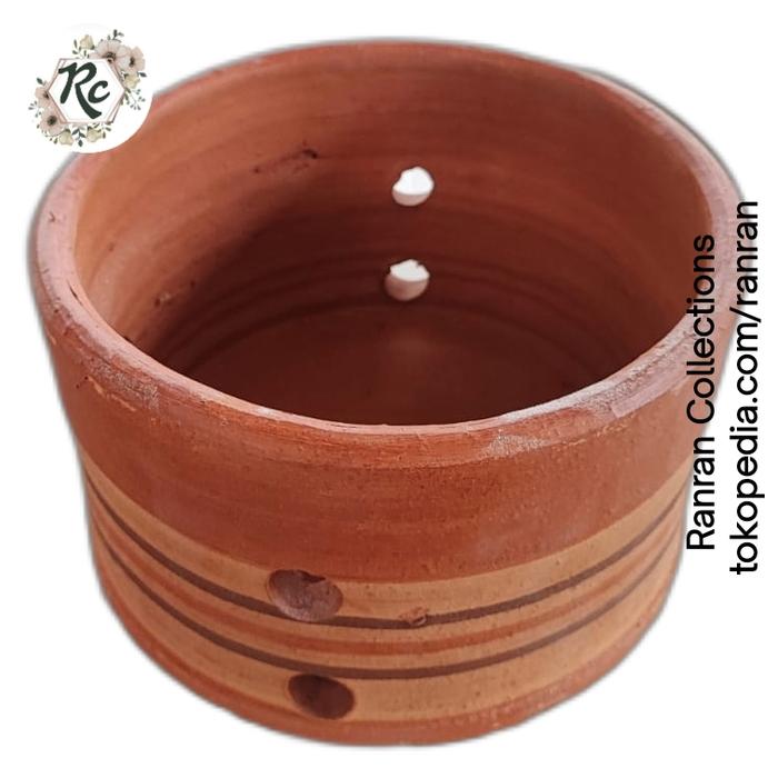 Gambar Bibit Tanaman Hidup Anggrek Bulan Kuning Lidah Merah Yellow withRed Labellum Moon Orchid - Extra pot dari Ranran Collections undefined Tokopedia