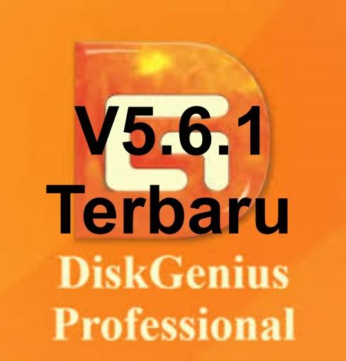 Gambar DiskGenius Professional - Disk Partition and Data Recovery dari Elgancomputer undefined Tokopedia
