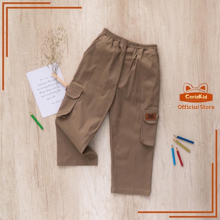 Gambar [Ceriakid] Celana Anak Laki laki dan Perempuan Cargo Chino Taktikal  0-9 tahun -denver - Cokelat, XXL dari ck bajuanak undefined Tokopedia