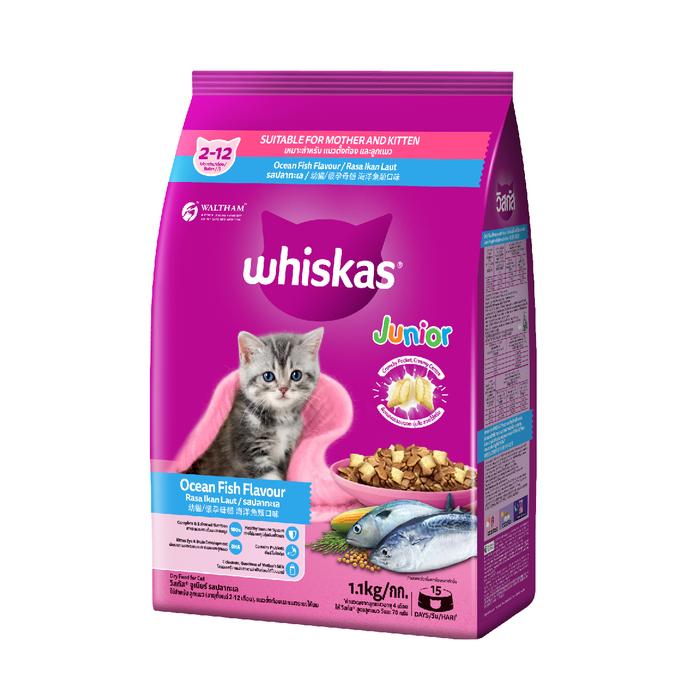 Gambar Promo Makanan Kucing Whiskas Kitten Junior All Varian Cat Dry Food 1.1 kg - Ocean Fish dari DPet Store Makassar undefined Tokopedia