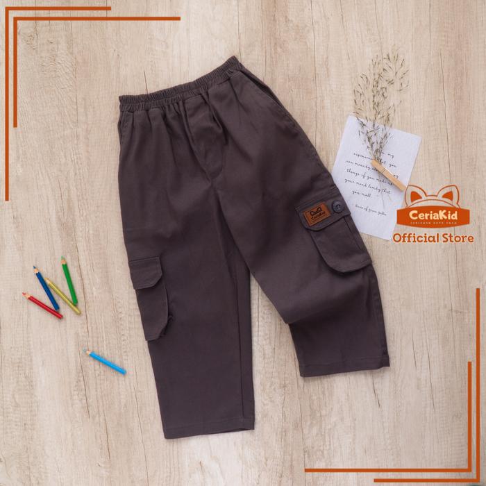 Gambar [Ceriakid] Celana Anak Laki laki dan Perempuan Cargo Chino Taktikal  0-9 tahun -denver - taupe, XXL dari ck bajuanak undefined Tokopedia