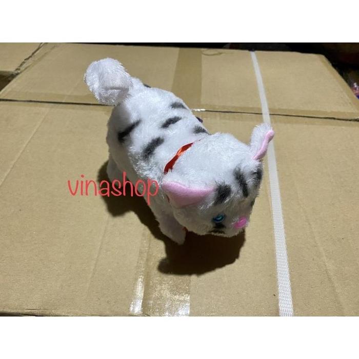 Gambar Free Baterai Mainan Anak Anjing Anjingan Doggy Guguk Kucing Kucingan Meong Termurah,, - Kucing dari TAVIMO undefined Tokopedia