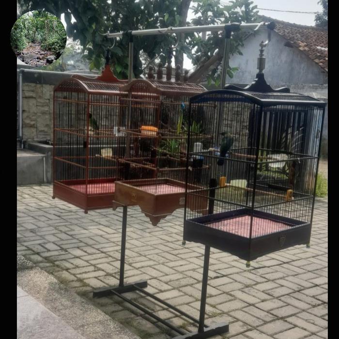 Gambar termurah tangkringan burung /gantungan burung /kandang burung/ tenggeran burung dari Ria Anugrah01 undefined Tokopedia