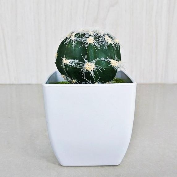 Gambar koala store tanaman s kaktus mini bunga plastik imitasi pot bunga artificial san dekorasi meja murah pbp139 - 1 dari nandaoo undefined Tokopedia