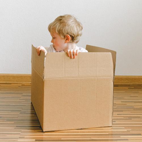 Gambar Smart Meiling Electric Multi Fast Cooker Listrik Serbaguna Steamer - kardus dari Kamjove1 undefined Tokopedia