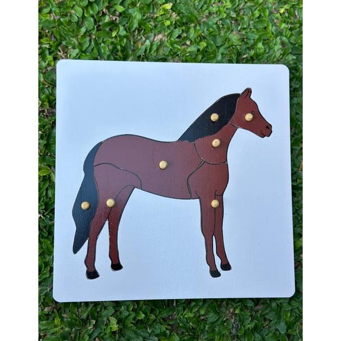 Gambar Montessori Puzzle kuda/ katak/ kura/ burung/ ikan (zoology montessori free control map - Kuda, Art paper tebal dari Safirana Shopp undefined Tokopedia