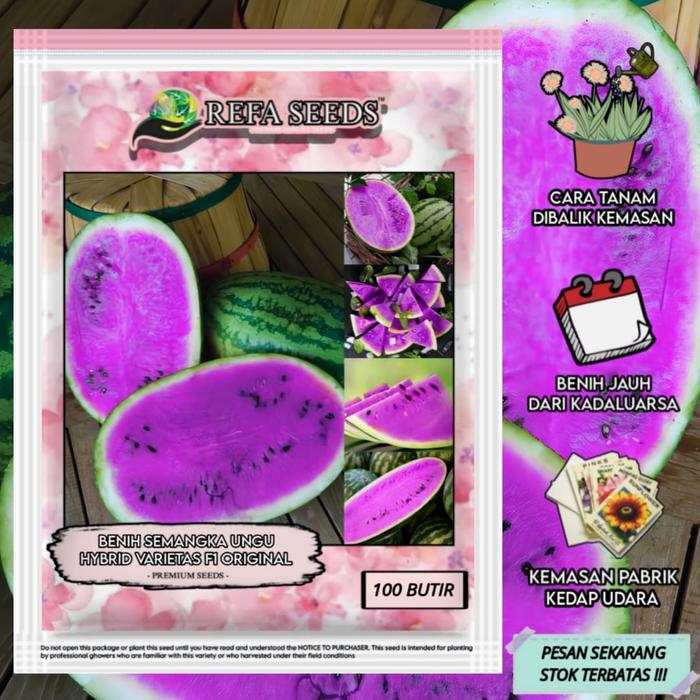 Gambar Biji Benih Semangka Ungu F1 Import / Watermelon Seeds / sapu / Ember - 1 PAK 100 BUTIR dari VICTORIOUS SEEDS undefined Tokopedia
