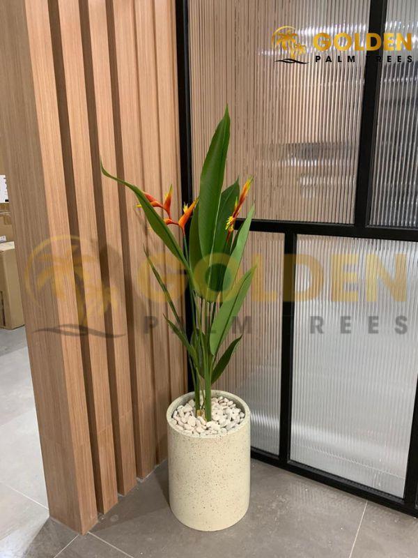 Gambar Pohon Pisang Heliconia Artificial - 1.2m dari goldenpalmtrees undefined Tokopedia