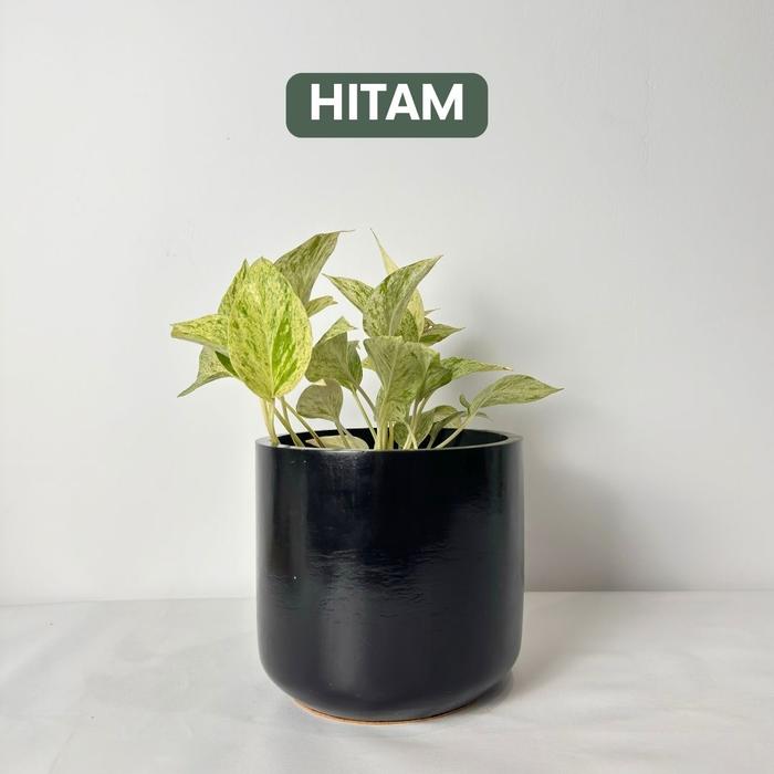 Gambar Workplant - Jivan Concrete Pot D17 - Hitam, Packing kardus dari workplant official undefined Tokopedia