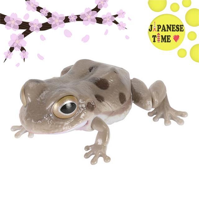 Gambar BANDAI Gashapon Living Creature Encyclopedia: Repti the Tree Frog Figure Gacha - Speckled Gray dari Japanese Time undefined Tokopedia