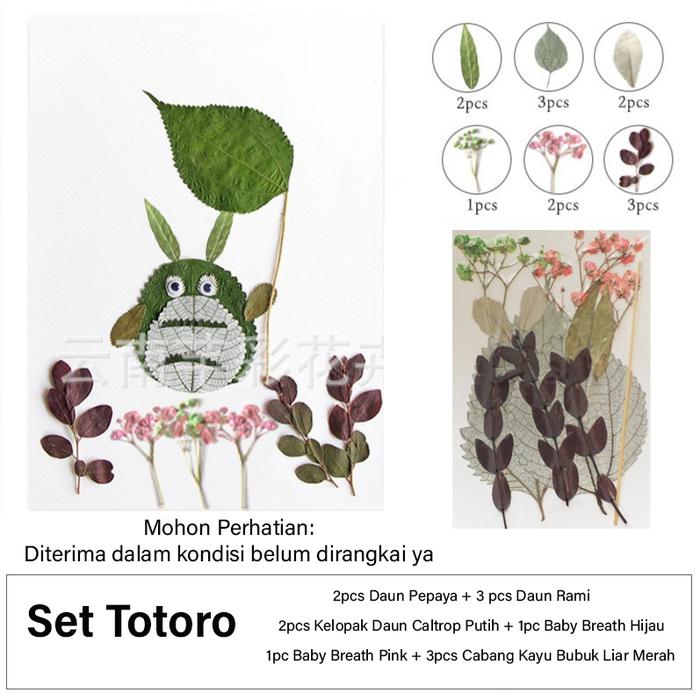 Gambar SET DIY Material Paket Kits Prakarya Anak Sekolah Kerajinan Merangkai Bunga & Daun Kering Activity Kits Pressed Natural Real Dried Flower & Leaf Bunga Gepeng Topping Resin Hiasan Pigura Hobi Koleksi - Set Totoro dari Queen Sunny undefined Tokopedia