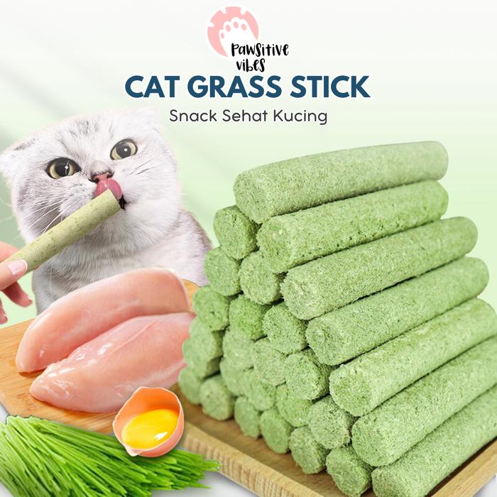 Gambar Cat Grass Stick - Snack Kucing Campuran Catnip, Ayam, Minyak Ikan dari Pawsitive Official undefined Tokopedia