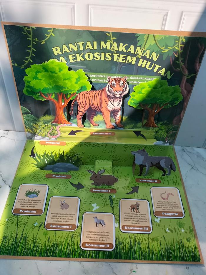 Gambar Buku Pop Up Book Serial Rantai Makanan Ukuran Besar A3 / Tugas Prakarya Sekolah / Kreasi DIY dari duniaindustri undefined Tokopedia