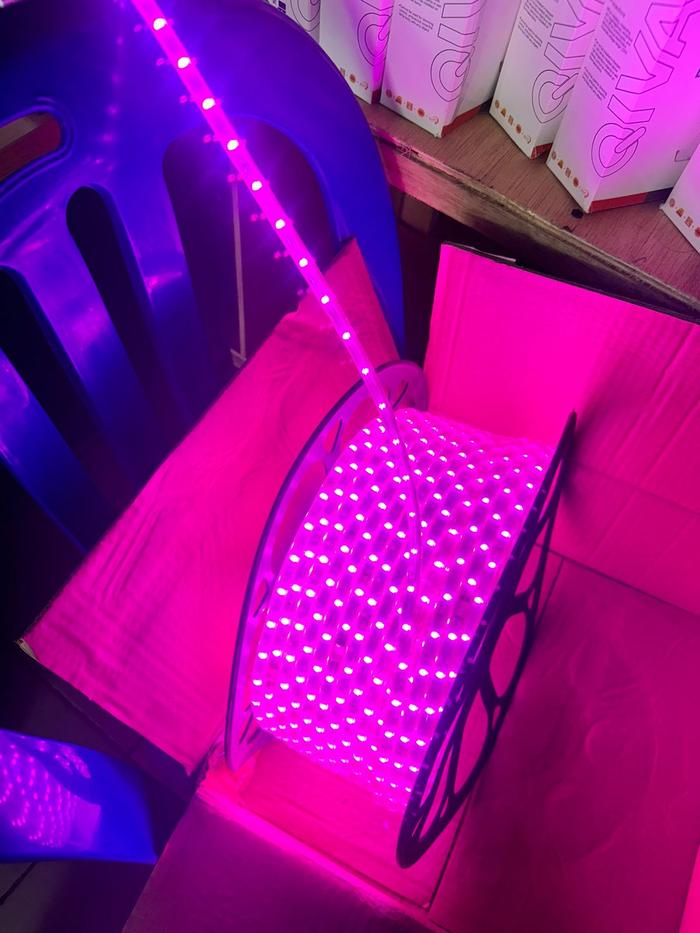 Gambar STRIP ROLL LAMPU SEMBUNYI 5050 IP44 NECO PERMETER - Merah Muda dari Toko Berkat Zillion undefined Tokopedia