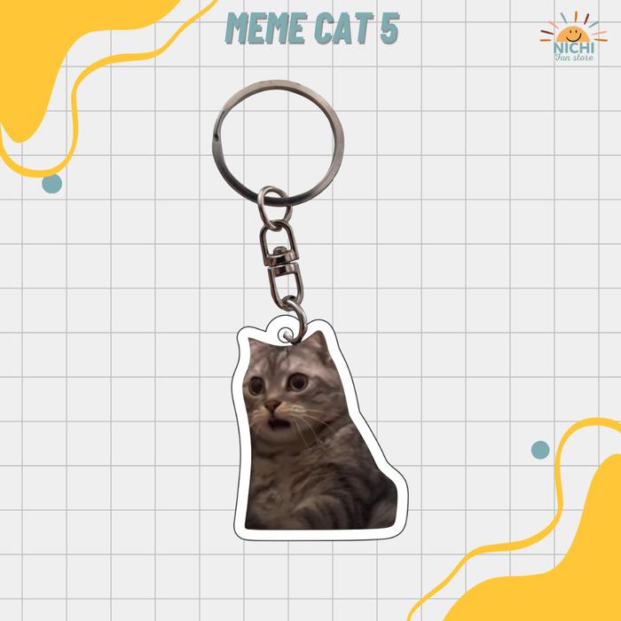 Gambar KEYCHAIN MEME CAT VER.5/GANTUNGAN KUNCI MEME CAT VER.5/AKSESORIS GANTUNGAN KUNCI - SI BINGUNG, 2SISI dari NichiFunstore undefined Tokopedia