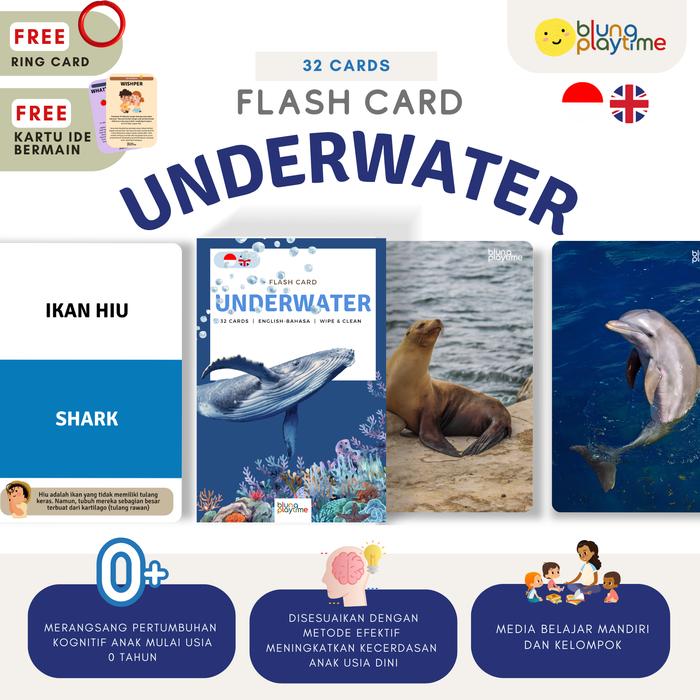 Gambar Flash Card - UNDERWATER - Media Belajar Edukatif Bayi & Anak - Wipe & Clean - Free Ring - Bonus Kartu Ide Bermain - Kartu Bergambar Visual dari Blung Playtime undefined Tokopedia