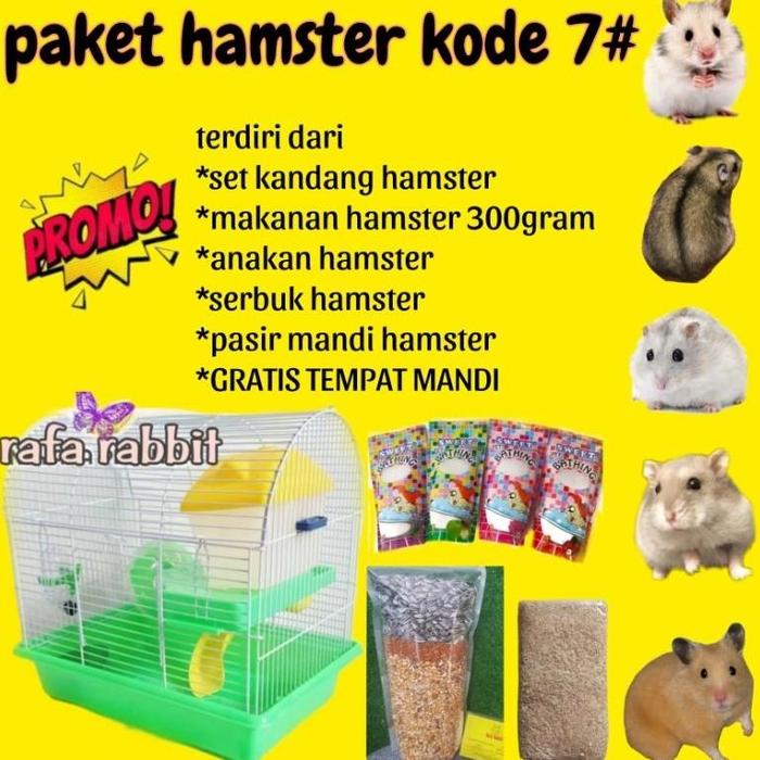 Gambar JEKY_STORE paket hamster murah dan lengkap kode #7 khusus bisa sepasang bisa per ekor hamster dijamin jinak tidak gigit dan lucu banget khusus dan - 2 ekor jantan dari JEKY STORE00 undefined Tokopedia