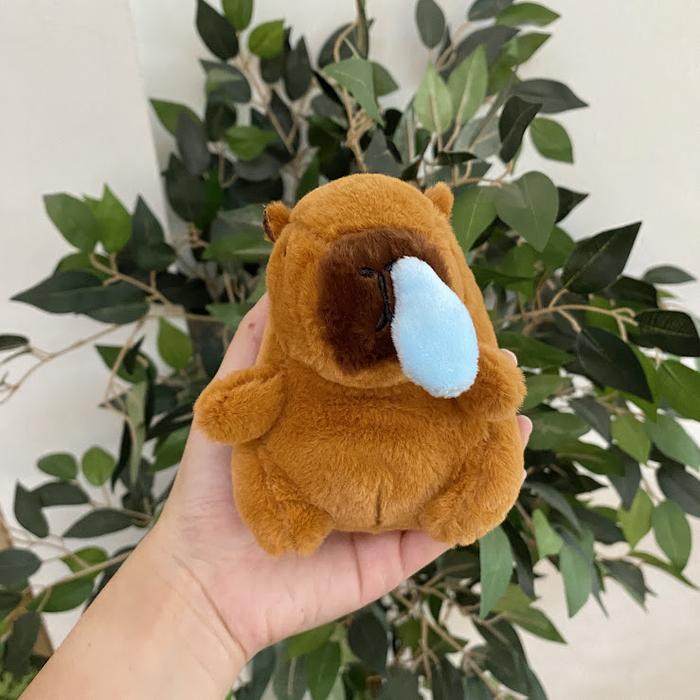 Gambar Gantungan Kunci Capybara Turtle Water Stawberry Unik Lucu Hadiah Gift - Capybara Water dari kiyowo.corner undefined Tokopedia
