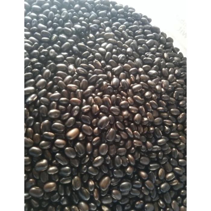 Gambar BIBIT KACANGAN MB India (Mucuna Bracteata India) import. Berat 1 KG. Sebagai tanaman Penutup lahan pada kelapa sawit - 1 Kg dari DAMARA 77 STORES undefined Tokopedia