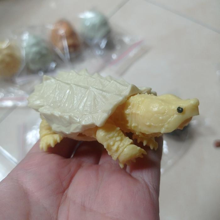 Kame03 Gashapon Tartaruga Alligatore (Nero) – Anatomia Dettagliata, Giocattolo Capsula Gacha Bandai