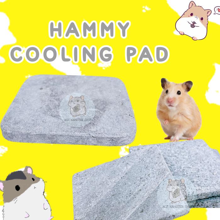 Cooling pad hamster alas tempat tidur pendingin penyejuk hamster 5x5 cm
