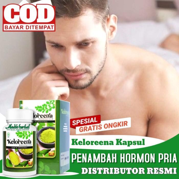 Gambar Obat Penambah Hormon Testosteron di Apotik - Keloreena Kapsul Original - 50 Kapsul dari Sagara Mart8 undefined Tokopedia
