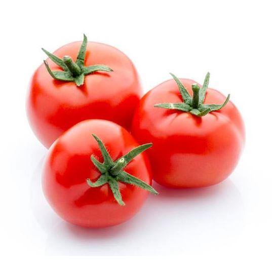 Gambar Gardening Kit For Kids Paket Berkebun Sayuran Lengkap Anak Dirumah Tugas Sekolah Menanam Bibit Benih Tanaman Sayur di Rumah - Tomat dari Hippo Grow Indonesia undefined Tokopedia