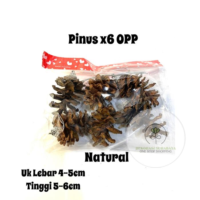 Gambar Hiasan Natal Pinus x6 OPP Decoration - Natural dari DekorasiSurabaya undefined Tokopedia