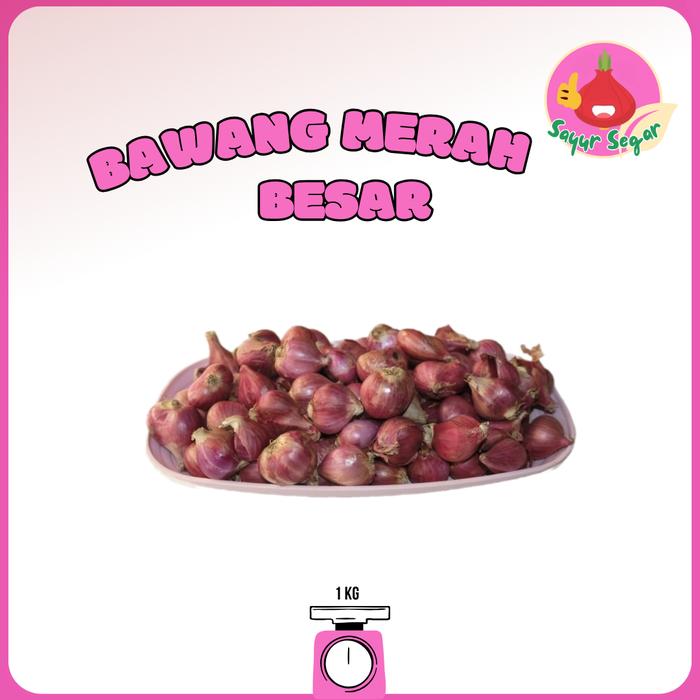 Gambar bawang merah super Besar 1kg - 1000 gr dari BawangBagus undefined Tokopedia