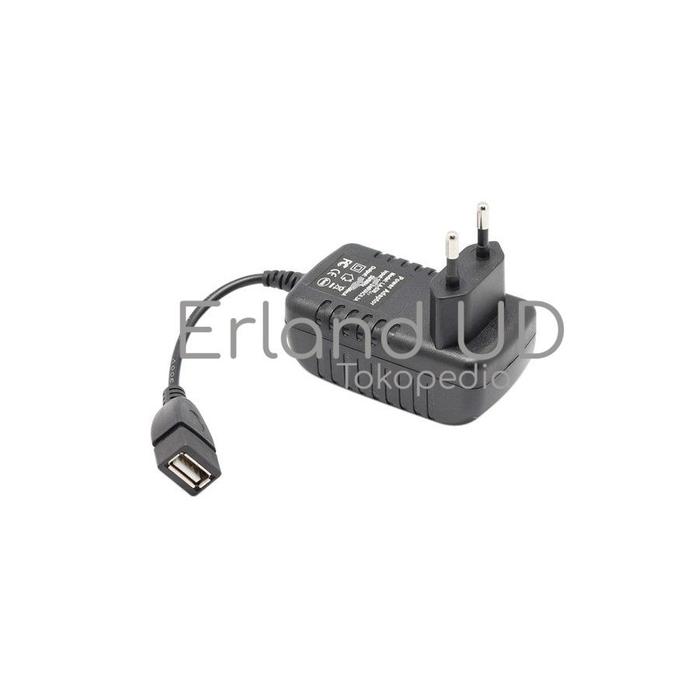 Gambar Adaptor Mesin Ayunan Bayi Polar Kotak Poma Pin Pin Oto Charger Adapter - Type USB Female dari Erland UD undefined Tokopedia