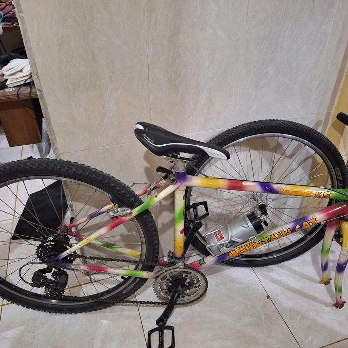 マウンテンキャット オールドMTB 26インチ Panasonic Mountain Cat Z