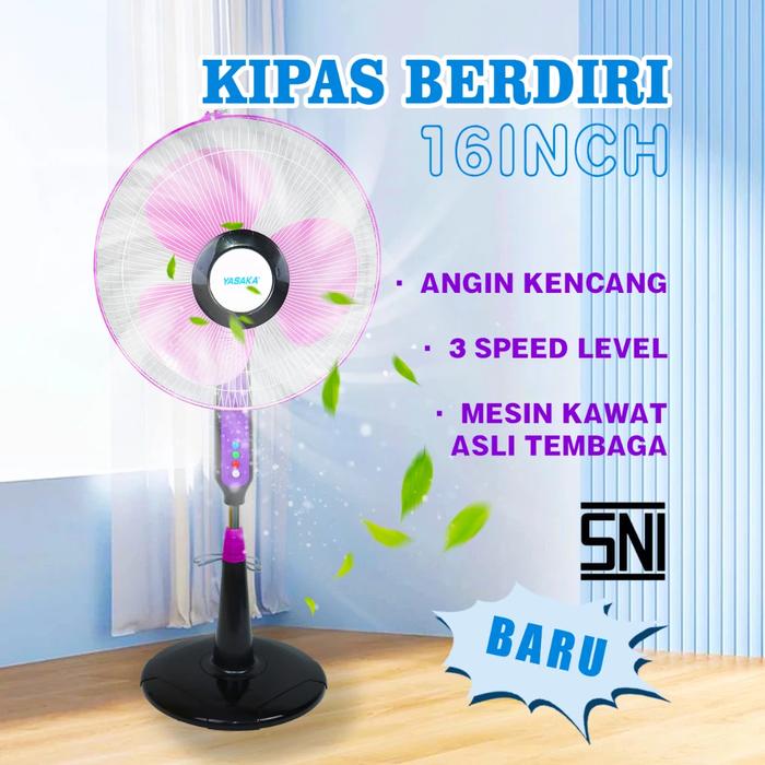 b4fa36dd-5574-475f-becd-7d2f34101d0a.jpg