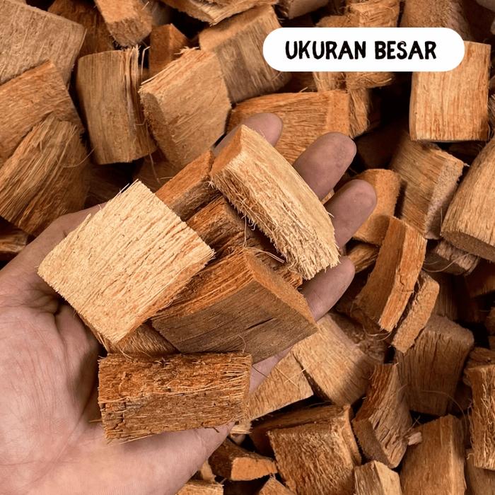 Gambar Workplant - Coco Husk Cocochip Media Tanam Atau Alas Substrat Kandang Reptile Siap Pakai - Besar dari workplant official undefined Tokopedia