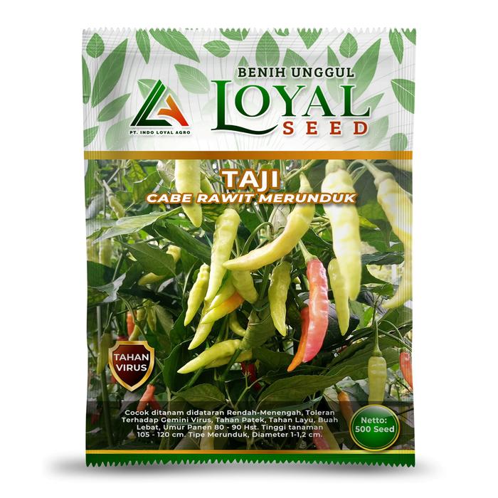 Gambar BENIH CABE RAWIT MERUNDUK UNGGUL TAJI CAP LOYAL SEED - 500 S dari INDO LOYAL AGRO undefined Tokopedia
