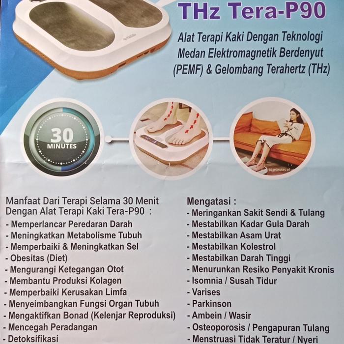 OlyLife THz Tera-P90 Jual Olylife Thz Tera P90 Alat Terapi