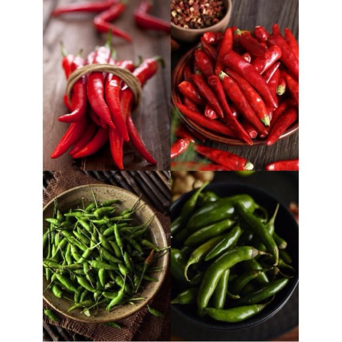 Gambar Cabai Rawit / Cabai Keriting Merah / Cabai Keriting Hijau / Cabe besar - Merah keriting dari Aili Freshmart undefined Tokopedia
