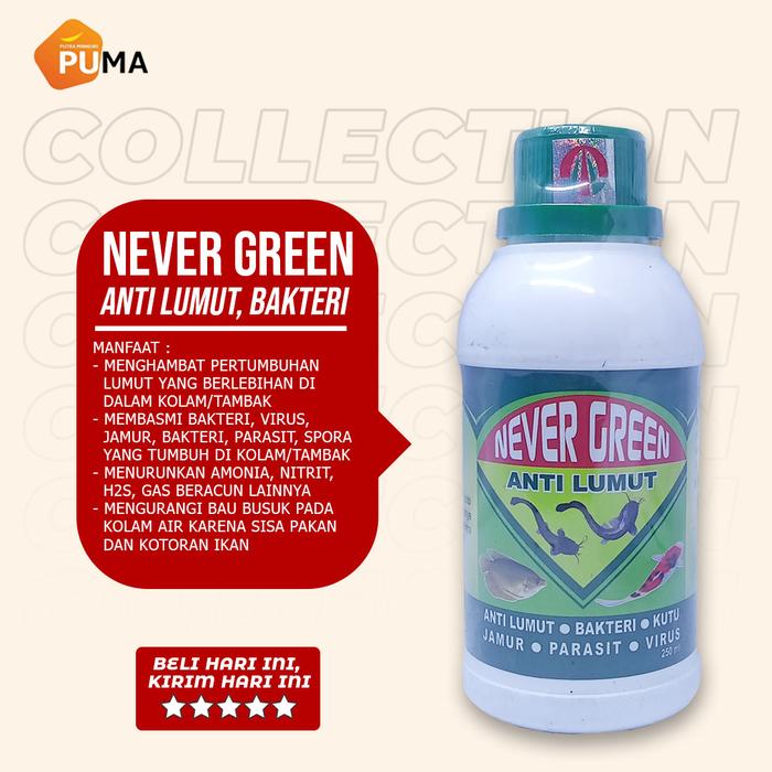 Gambar NEVER GREEN Obat Cairan Pembunuh Pembasmi Anti Lumut Kolam Tambak Ikan dari PUMA Ternak Shop undefined Tokopedia