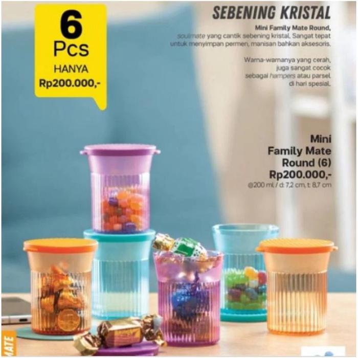 タッパーウエアセット売り タッパーウェア 記し ファミリーメイト