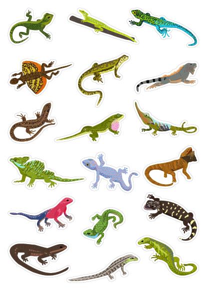 Gambar Sticker Reptil Sticker Tumblr Sticker HP Sticker Deco - 0101 dari Honik undefined Tokopedia