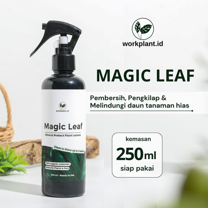 Gambar Workplant Pengkilap Daun Magic Leaf Shine 250 ml Tanaman Hias - Magic Leaf Only dari workplant official undefined Tokopedia