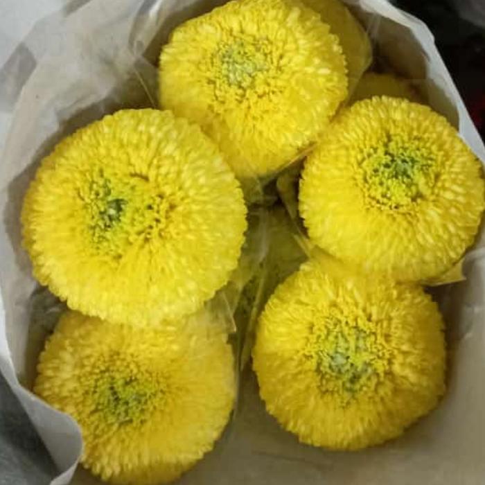 Gambar Bunga Pompom Fresh - Kuning dari Tevia Florist undefined Tokopedia